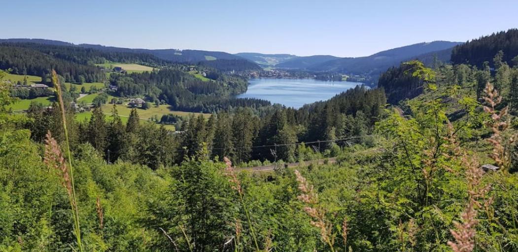 Black Forest Schwarzwaldblick Indoorpool Natur Ruhe Komfort Lägenhet Höchenschwand Exteriör bild