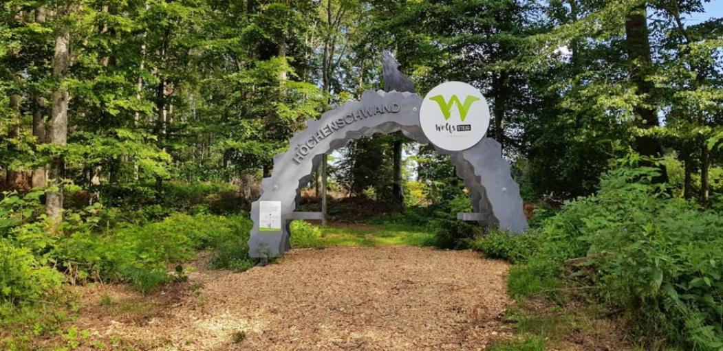 Black Forest Schwarzwaldblick Indoorpool Natur Ruhe Komfort Lägenhet Höchenschwand Exteriör bild